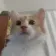 12333 avatar