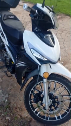 kuba cub 50 avatar